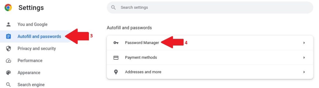 Go to Autofill and Passwords > Password Manager