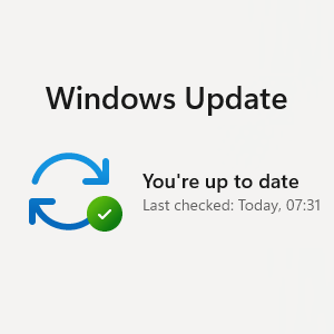 Windows Update